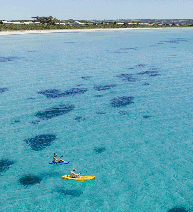 Things to do on Kangaroo Island