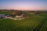 156473 Coriole Vineyards