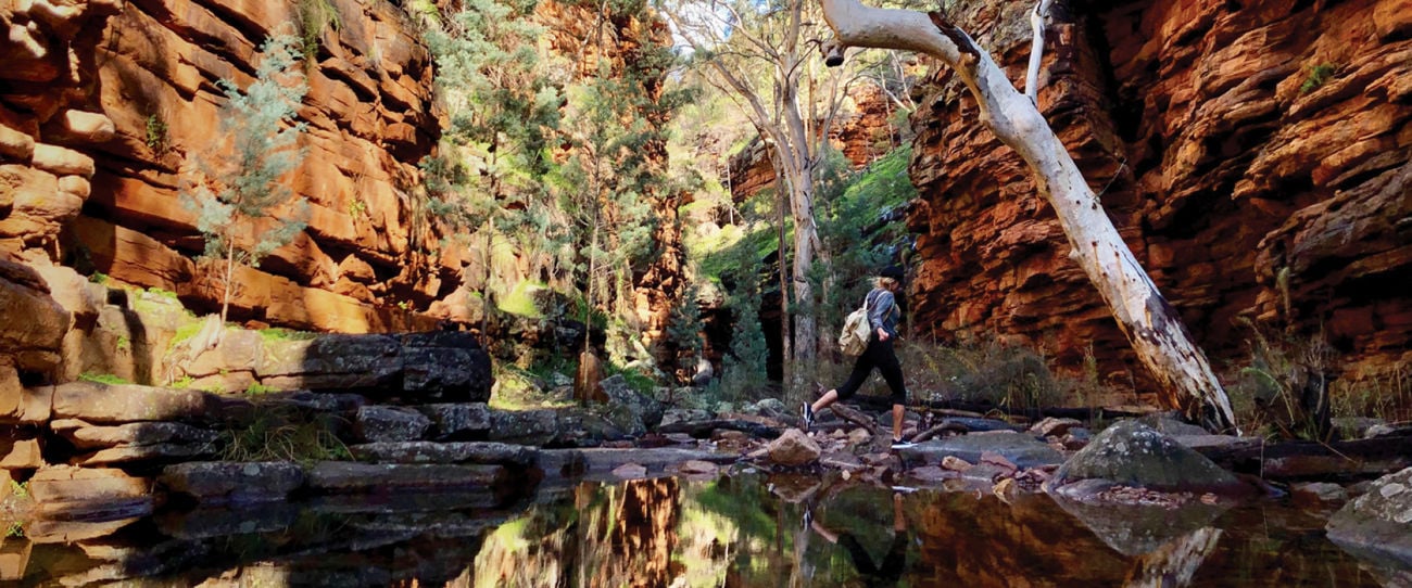 Alligator Gorge, Mount Remarkable National Park