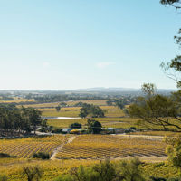 Sweeping views across the Barossa showing vineyards and clear skies from Bethany Wines