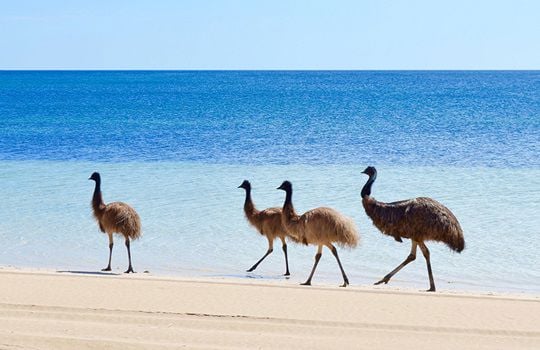 Coffin Bay National Park, Eyre Peninsula