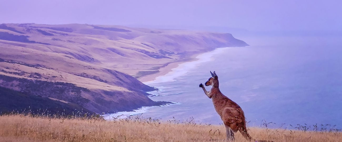 Deep Creek Conservation Park, Fleurieu Peninsula