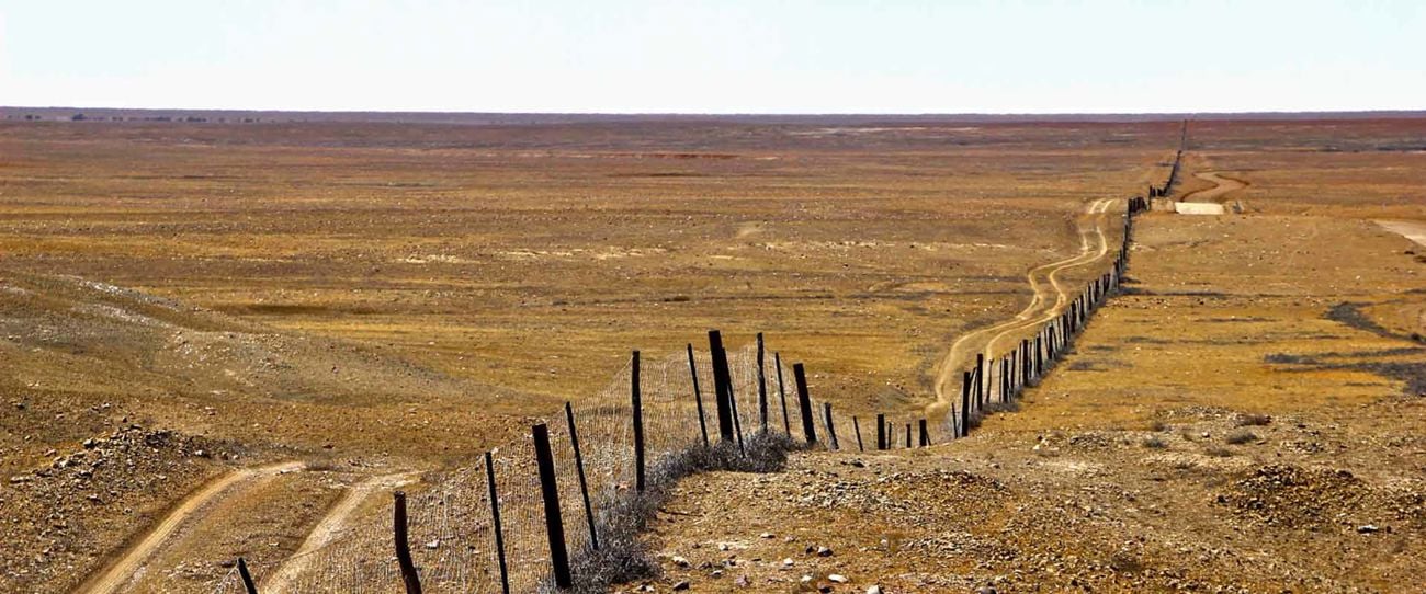 The Dingo Fence, Outback