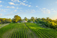 Greenhillwines Adelaidehills 1920X800 001