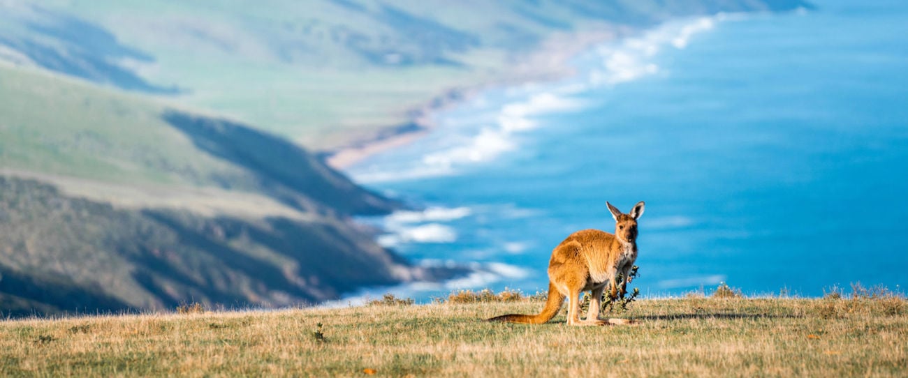 Heysen Trail, Deep Creek, Fleurieu Peninsula