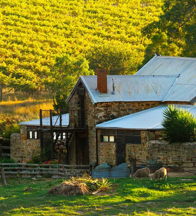 Winery Accommodation