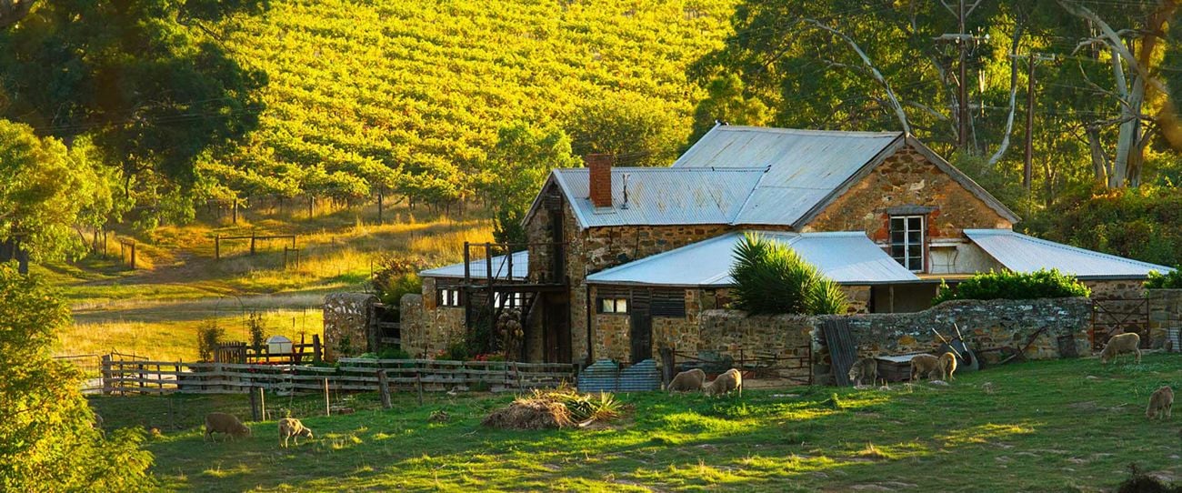 Hutton Vale Farm, Barossa