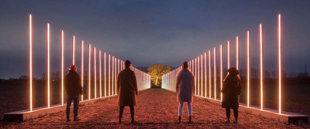 Illuminate Adelaide City Lights