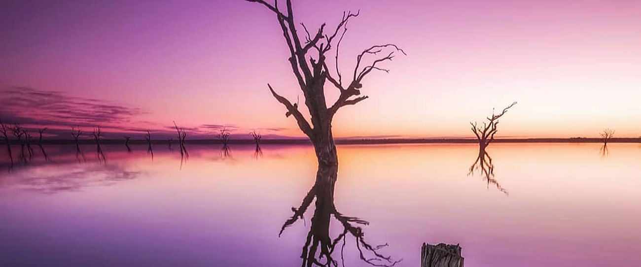 Lake Bonney, Riverland