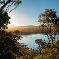 A tranquil bay with a blue sky framed by native Australian trees as the sun begins to set