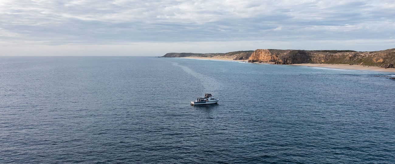 Marion Bay Ocean Safari, Yorke Peninsula