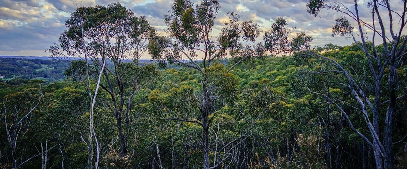 Mark Oliphant Conservation Park, Adelaide Hills