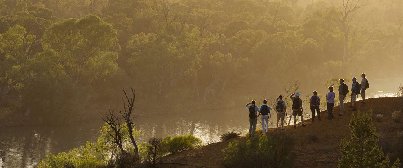 Murray River Walk, Riverland