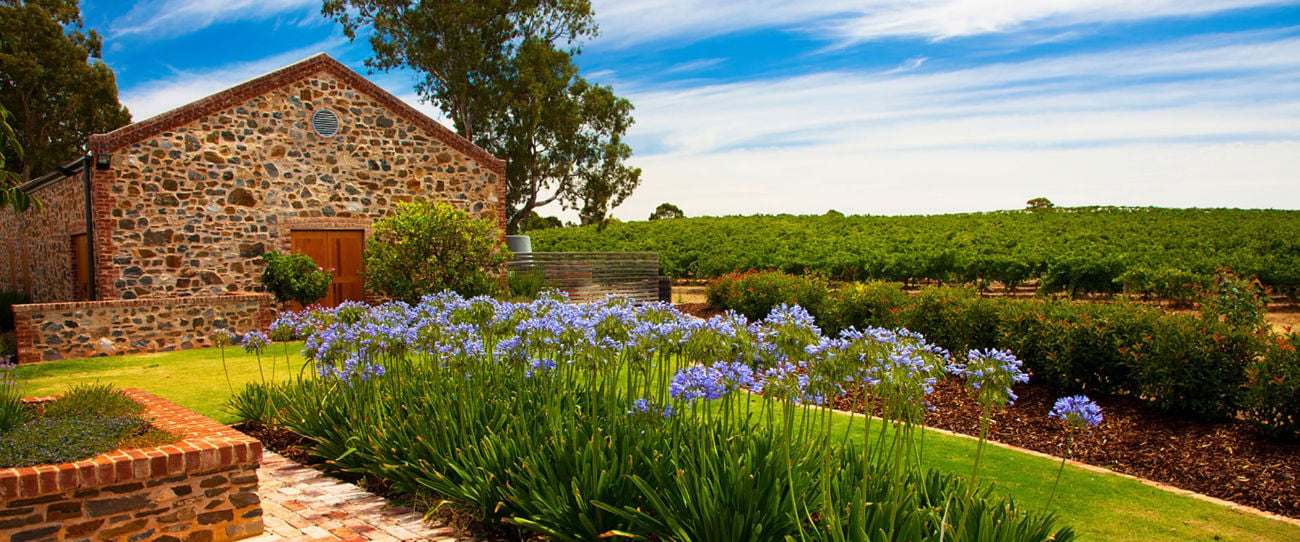 Murray Street Vineyards, Barossa