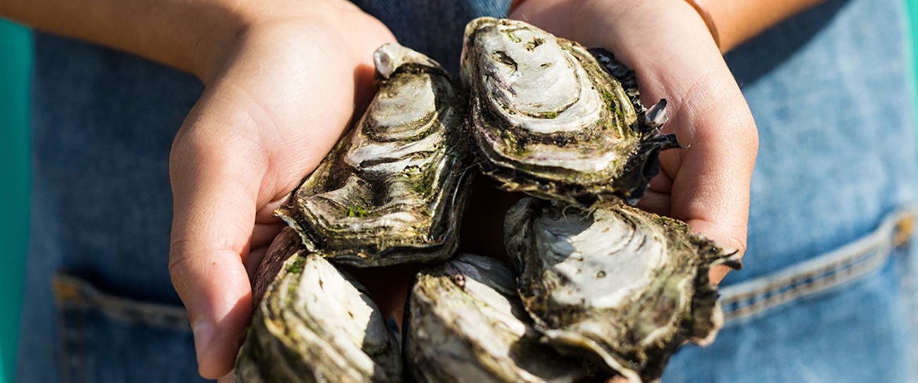 Oyster Farm Shop