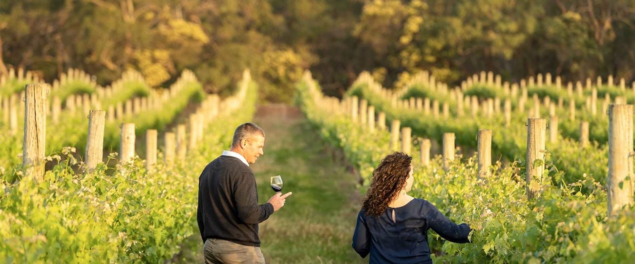 Raidis Estate, Coonawarra