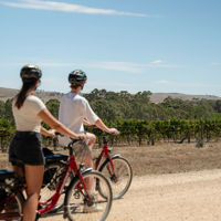 Two people riding their bikes along the Riesling Trail track among the vines of Clare Valley