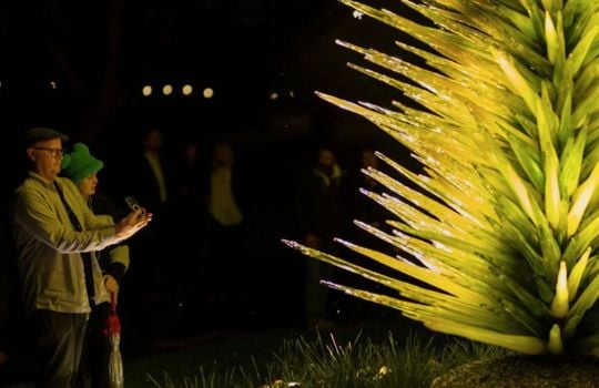 Chihuly Nights at Adelaide Botanic Garden