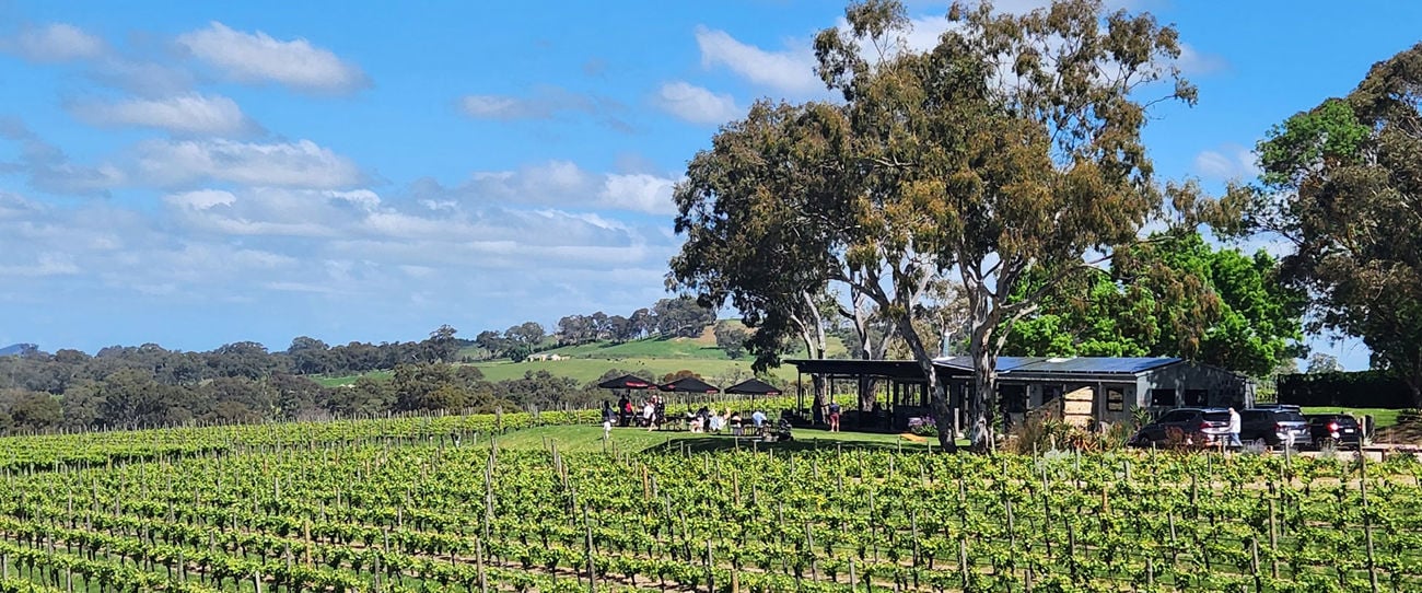 Simon Tolley Wines, Adelaide Hills