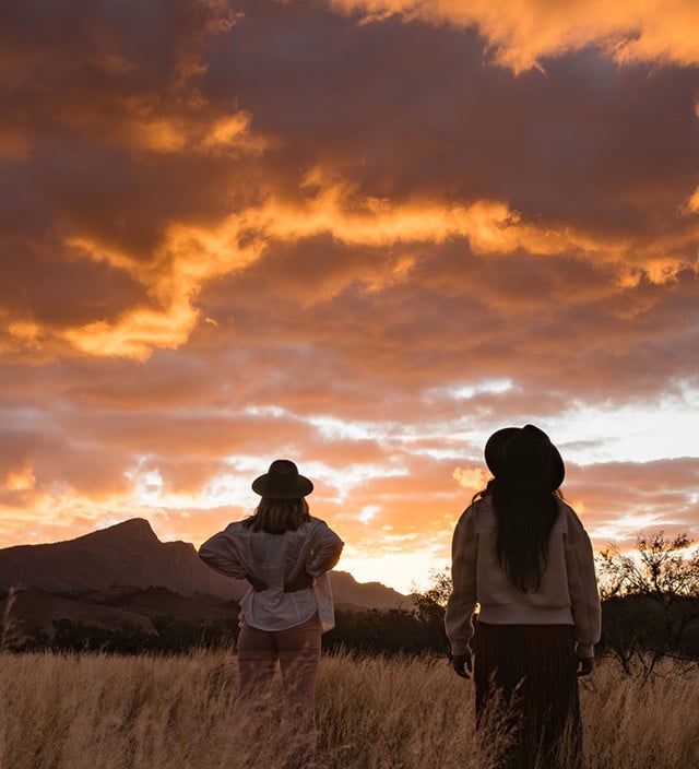 Flinders Ranges and Outback