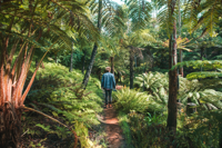 Mount Lofty Botanic Garden, Adelaide Hills 156117 Sacom Resized